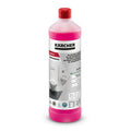 Détergent en profondeur pour sanitaires SanitPro CA 10 C eco!perform